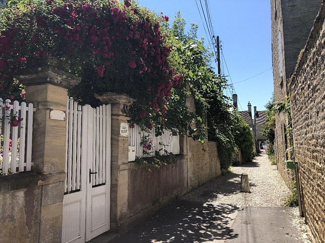 SAINT-AUBIN-SUR-MER-VENELLE-PASSAGE-RUE-AUMONT-FLEURS-PORTAIL-CREDIT-MATHILDE-LELANDAIS