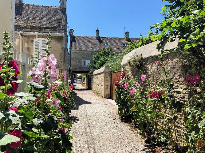 SAINT-AUBIN-SUR-MER-VENELLE-PASSAGE-RUE-AUMONT-FLEURS-ROSES-CREDIT-MATHILDE-LELANDAIS