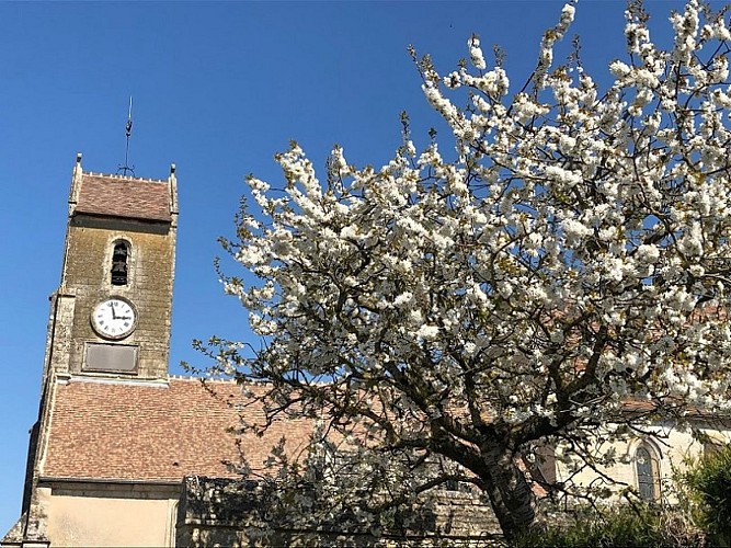 Église Saint Samson