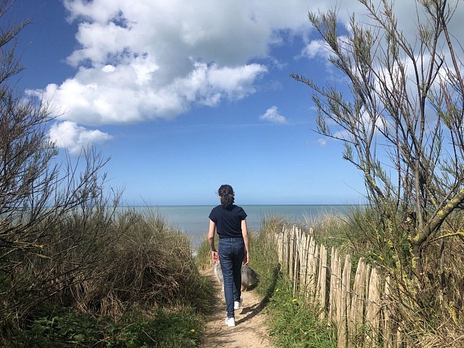 marais-du-platon-bernieres-sur-mer-credit-mathilde-lelandais (3)(1)