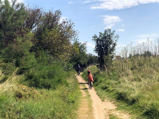 marais-du-platon-bernieres-sur-mer-credit-mathilde-lelandais (20)