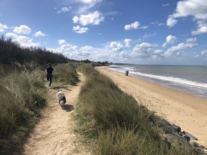 marais-du-platon-bernieres-sur-mer-credit-mathilde-lelandais (6)(1)
