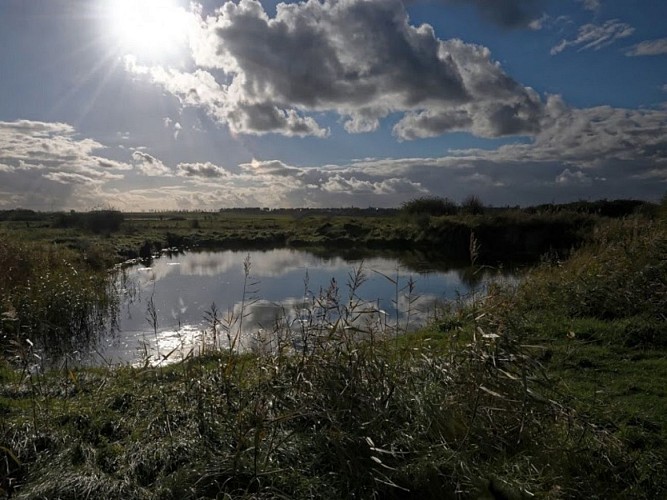 le Marais du platon