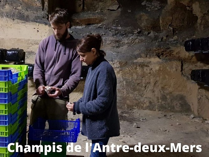 Champis-de-l-Antre-deux-Mers--7-