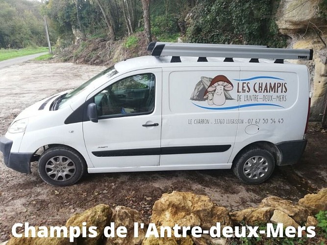 Champis-de-l-Antre-deux-Mers--6-