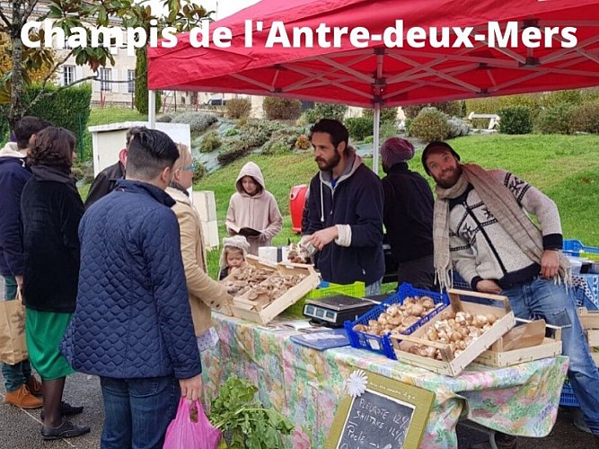 Champis-de-l-Antre-deux-Mers