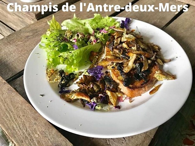 Champis-de-l-Antre-deux-Mers--4-