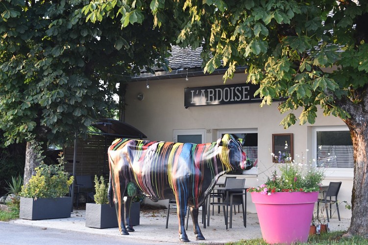 Vache - 3