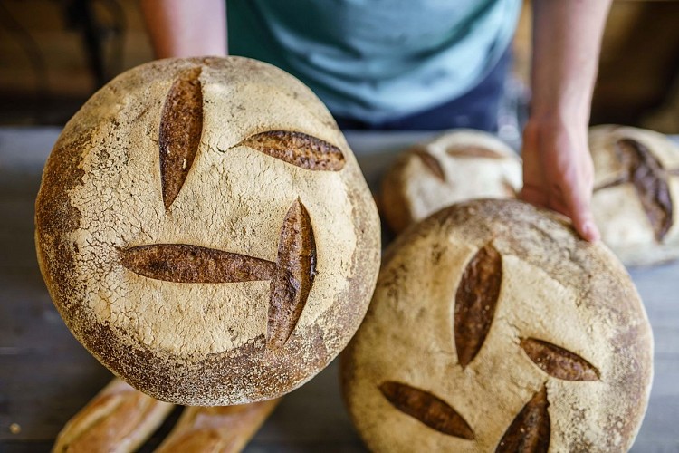 118626308_982904135505526_2839961235566377642_n