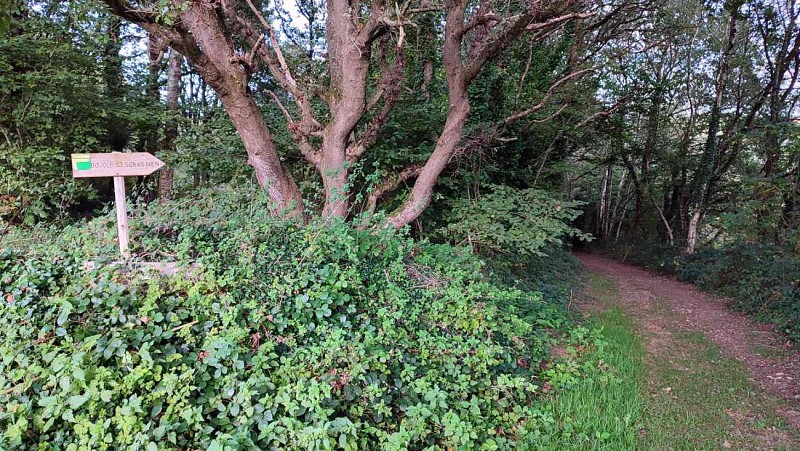 Balise Boucle St Sébastien