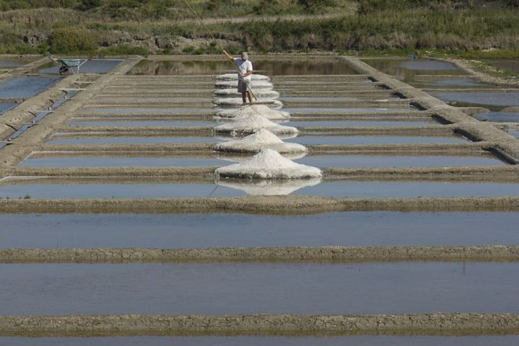 Le Mulon de Pen Bron