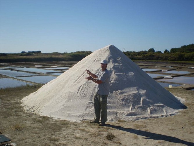 Le Mulon de Pen Bron