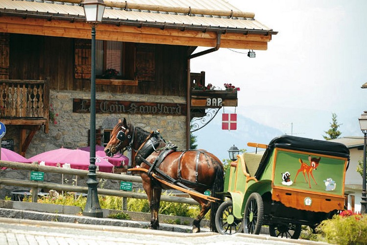"Le Coin Savoyard" Hotel