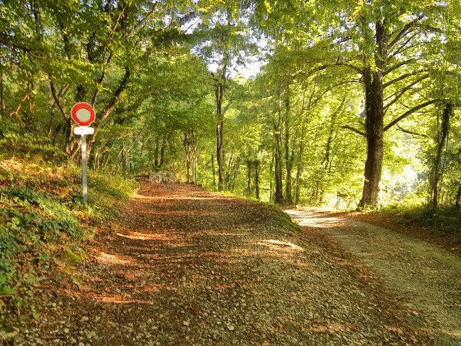 Tours de César Belvedere