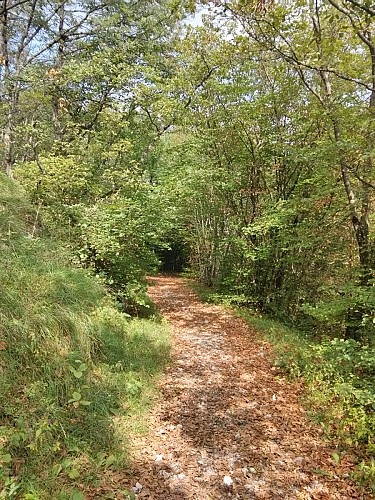 Tours de César Belvedere