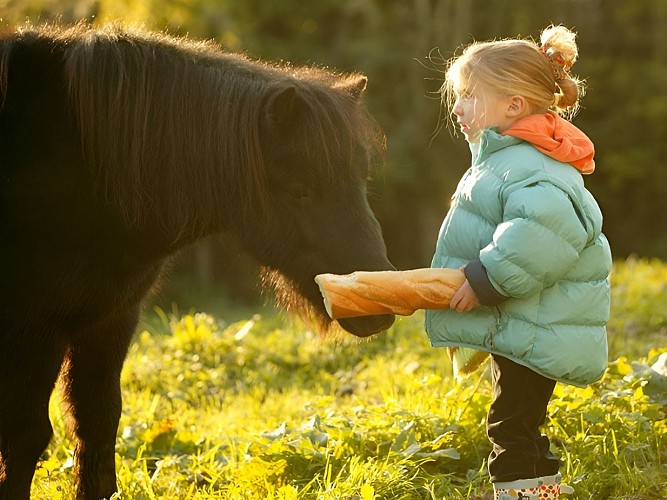 CALVADOS_ENFANT&amp;PONEY©G.WAIT_TOURISME
