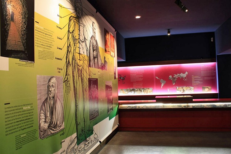 Photo Musée Mérieux