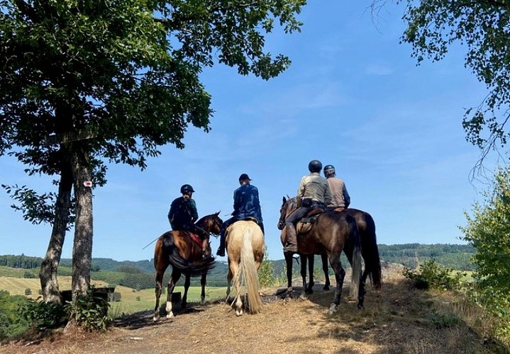 Ardenne-horse-trek-