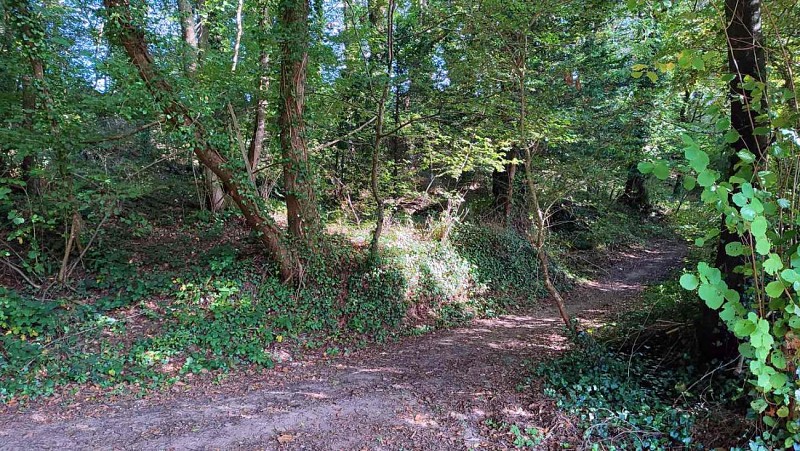 Le chemin sur la droite