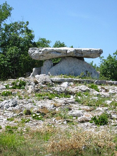 Dolmen de la Prunarède