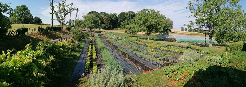 Les jardins d'antan-abussac-potager_1