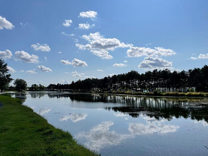 marais-isigny-sur-mer-1 (2)