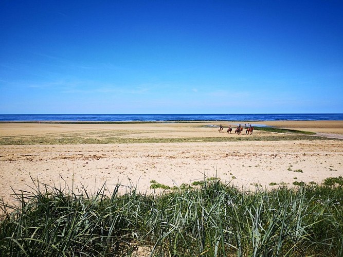 BALADE-A-CHEVAL-PLAGE-CREDIT-AMELIE-PANKOW--2-