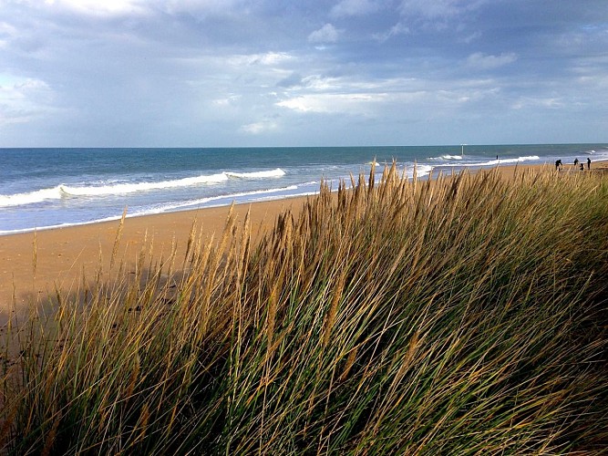 BERNIERES-SUR-MER-DUNES-PLAGE-HIVER-CREDIT-FRANCOIS-DUPONT