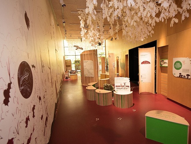 maison de la forêt 2023-exposition