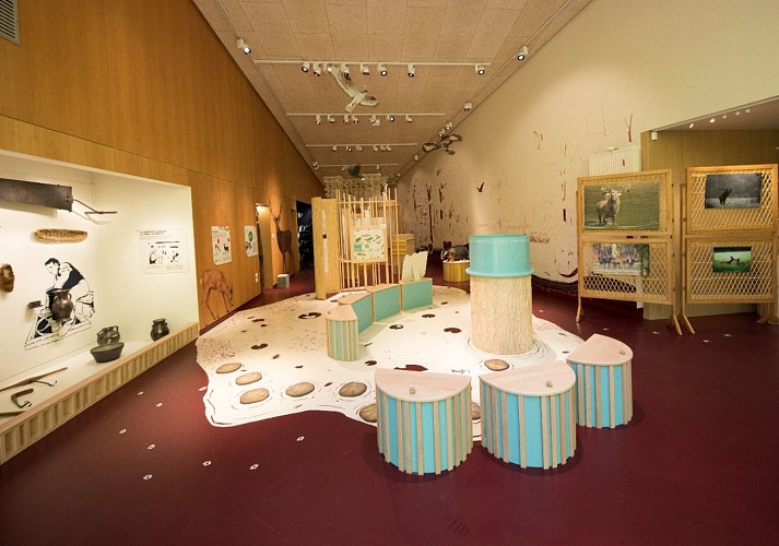 maison de la forêt 2023-exposition