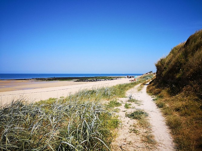 CAP-ROMAIN-DUNES-BERNIERES-SAINT-AUBIN-SUR-MER-CREDIT-NATHALIE-PAPOUIN