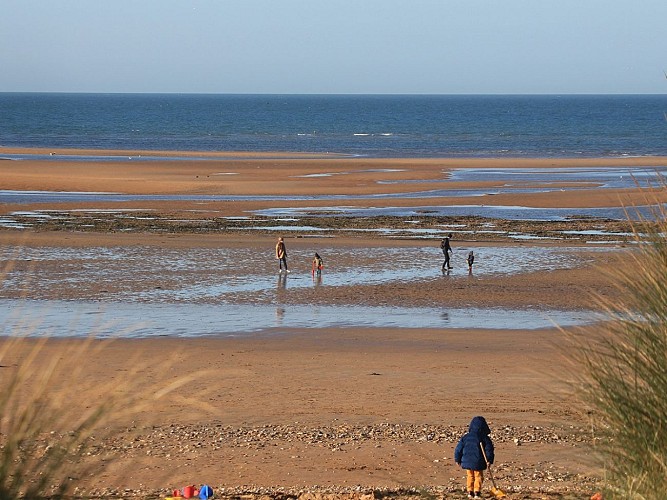 SCENE-DE-PLAGE-ENFANTS-FAMILLE-CREDIT-NATHALIE-PAPOUIN