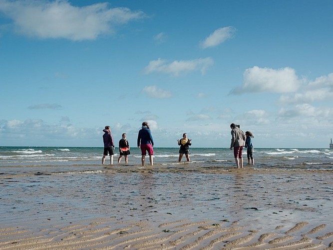 Experience_Normande___Sophrologie_a_Courseulles-sur-Mer_-_Marie-Anais_Thierry-Marie-Anais_Thierry_5