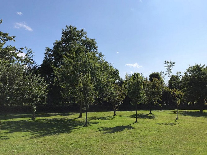 Le Clos du Verger jardin 
