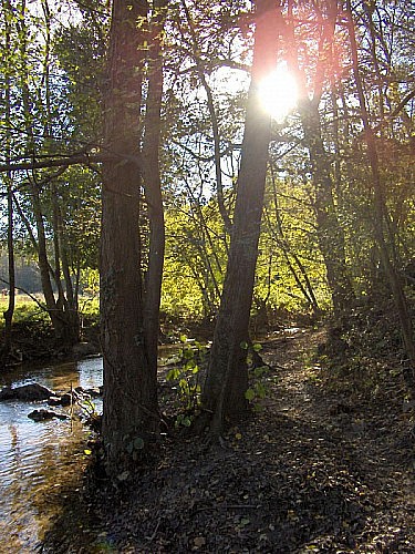 Image du poi