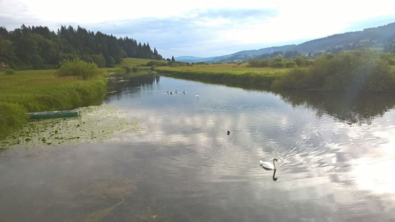 AIRE DE STATIONNEMENT CAMPING CAR - LA GOUILLE_1