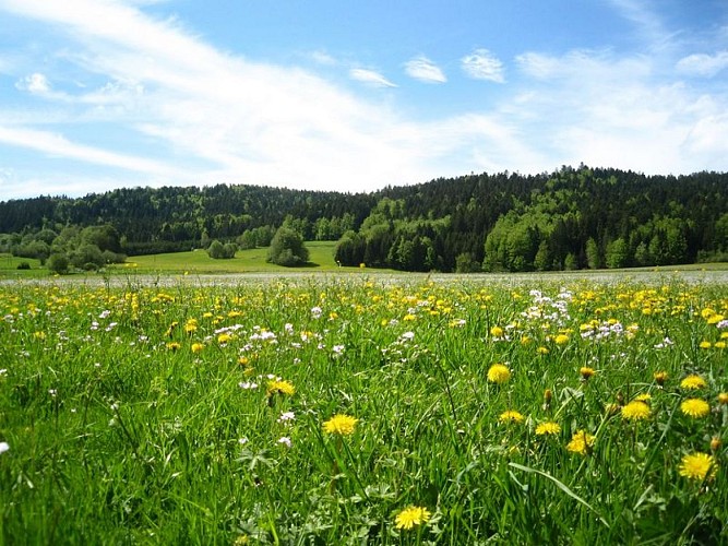 AIRE DE STATIONNEMENT CAMPING-CARS - RENÉDALE_1