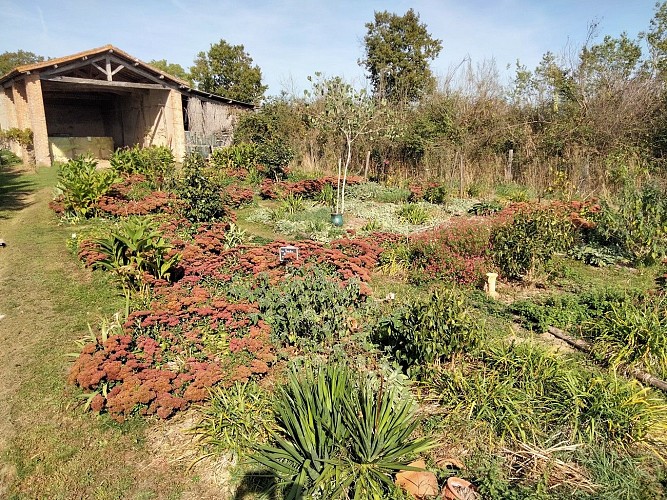 argentonnay- jardin-de-la-tournerie jardin des lilas celine tariel