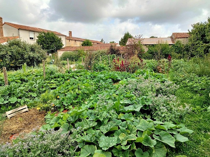 argentonnay- jardin-de-la-tournerie-potager1-celine tariel