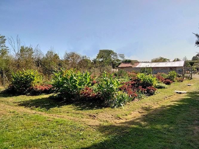 argentonnay- jardin-de-la-tournerie-jardin-des-lilas