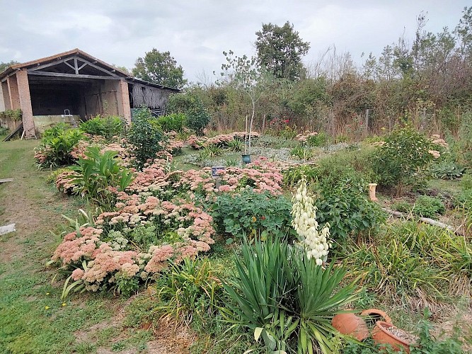 argentonnay- jardin-de-la-tournerie-jardin-des-lilas