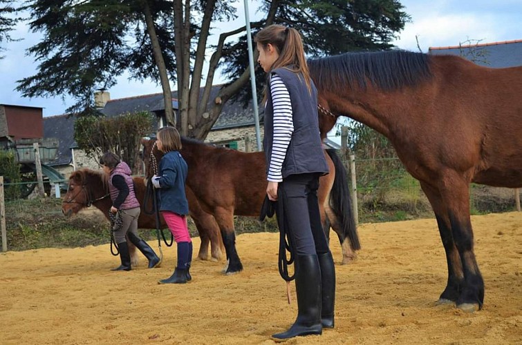 LES ÉCURIES DU BAS ROUGEAU