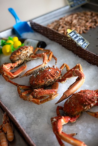 Les Viviers de la Côte de Jade