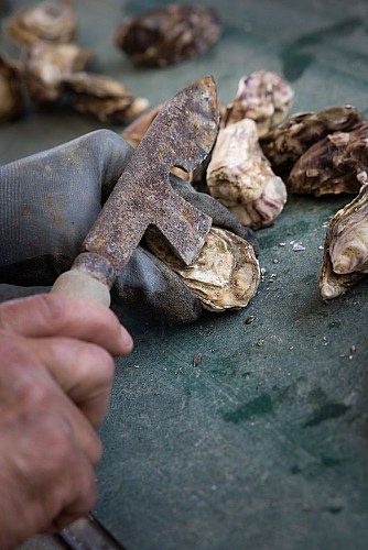 Les Viviers de la Côte de Jade