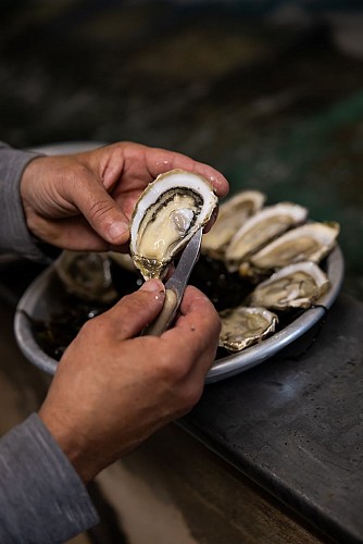 Les Viviers de la Côte de Jade