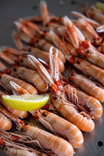 Les Viviers de la Côte de Jade