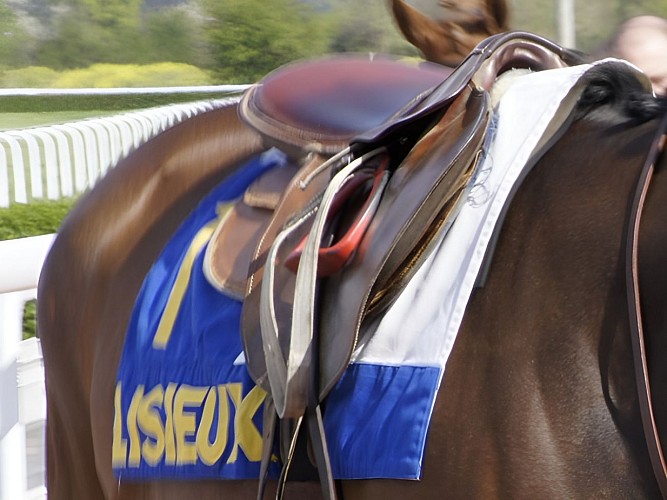 Selle de course Lisieux ©Société Courses