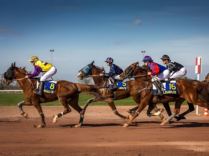 Arrivée course hippodrome Lisieux ©Fabien lestrade