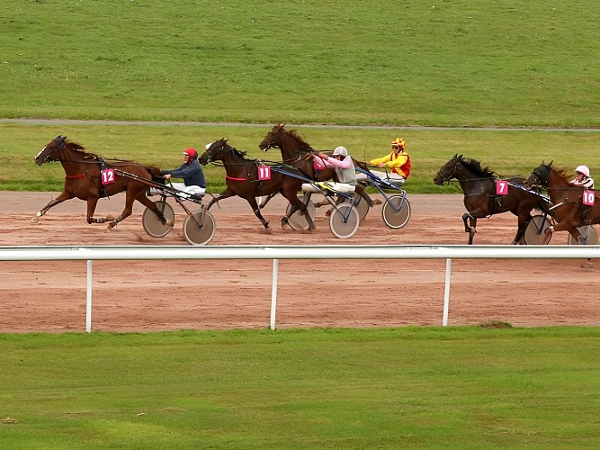 Hippodrome Lisieux course