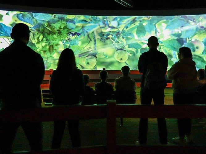 20230802094021-IMG-4721-3